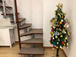 -Yukina Plus专业日式美肌