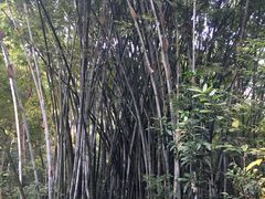 -中山公园(石岐街道)