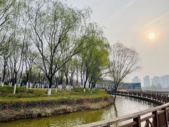 -西安浐灞国家湿地公园