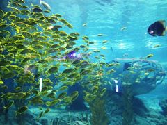 -福州罗源湾海洋世界旅游区