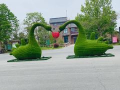 -泗洪洪泽湖湿地景区