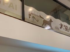 -瑞派紫金宠物医院24小时·骨科·中兽医·重症转诊中心(番禺大石院)