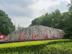 -南翔镇银翔湖公园