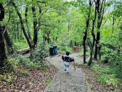 -上海佘山国家森林公园天马山园