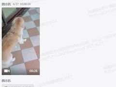 -瑞鹏宠物医院微创手术中心(西乡分院)