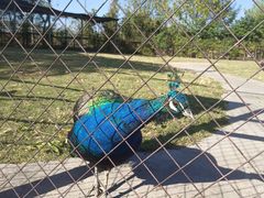 -祥源·阜阳生态乐园