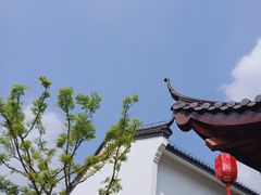 -长兴慧子土特产茶行