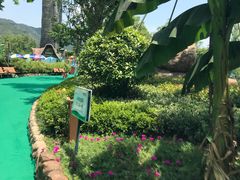 -苏州乐园森林水世界