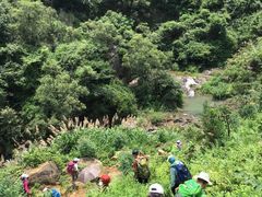 -大姆山草场