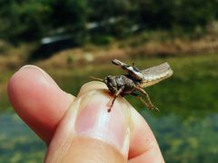 -周口店坡峰岭风景区