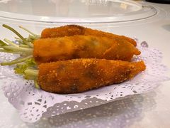 -丁老爷子苏香圆