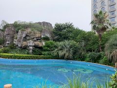 -圣雷克大酒店