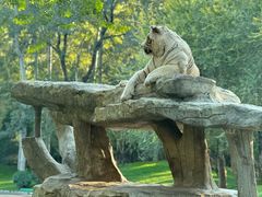 -北京野生动物园