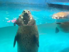 -梦幻海洋王国(吾悦广场张家港店)