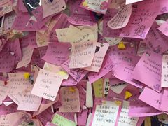 -雨霖祥和炖肉(南市店)