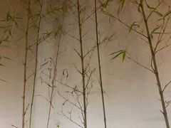 -十二舍·湯物素煮(江泰潤政店)
