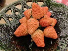 -白金汉爵大酒店(相城店)