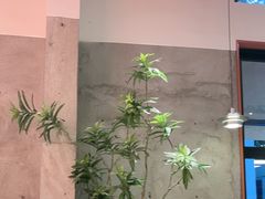 -必胜客(上海华谊新所店)