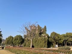 -上海月湖雕塑公园
