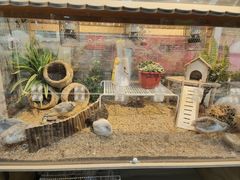 -宝鸡东道花鸟鱼虫市场(吉利花园商场店)