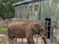 -西安秦岭野生动物园