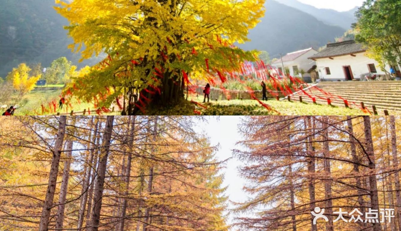 西安周边丨自驾秦岭红叶秘境,畅玩多彩之秋