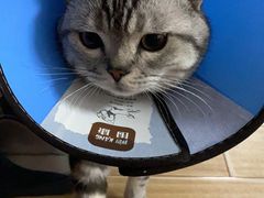 -联合动物医院(光谷诊疗中心)