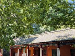 -少华山国家森林公园