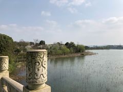 -东湖落雁景区