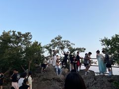 -紫金山山顶公园