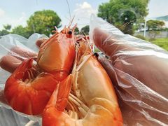 -蟹天蟹地农家菜·阳澄湖大闸蟹(浅水湾店)
