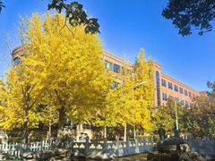 -北京市海淀外国语实验学校