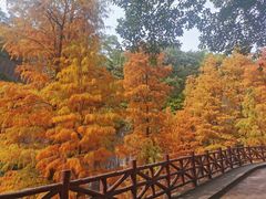 -广州莲花山旅游区
