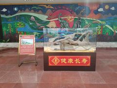 -诸城市恐龙博物馆
