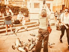 -圣母百花大教堂穹顶