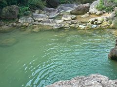 -南海湾森林生态园