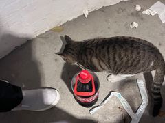 -醉二娘正宗西昌火盆烧烤(大丰店)