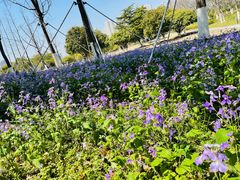 -白塘生态植物园