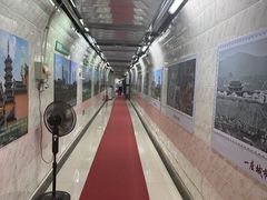 -北极阁公园