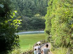 -武陵山森林公园