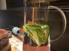 -绿茶餐厅(深圳龙华天虹购物中心店)