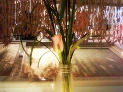 桌上的花-美丽心情蛋糕(江苏路店)