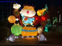 -南宫五洲植物乐园