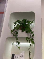 点击看大图 -禾壹净·素颜美问题肌肤修护中心