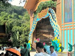 -西双版纳原始森林公园