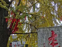 -金堂县云顶石城风景区