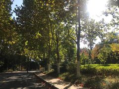 -四里河滨水生态公园