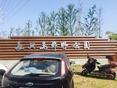 -上海长兴岛郊野公园