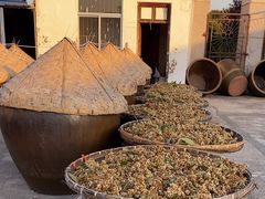 -苏州市吴中区光福窑上花果蜜饯厂