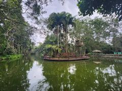 -海南热带野生动植物园